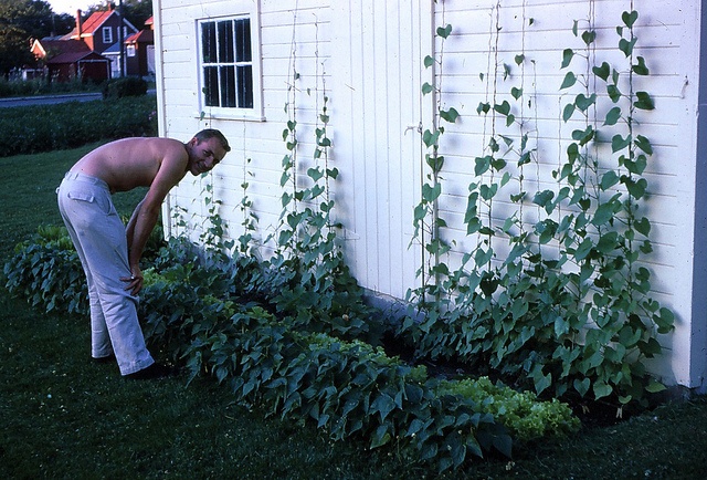 Man Gardening