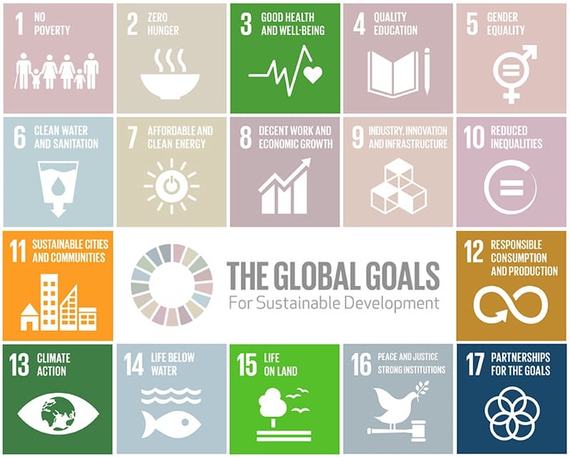 Y on Earth SDGs